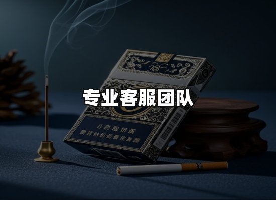专业优势